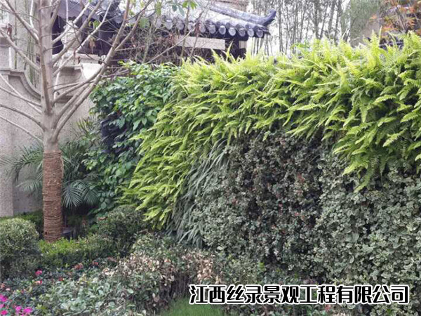 温州滨江九里植物墙