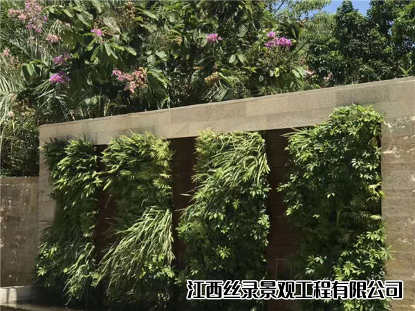 植物墙