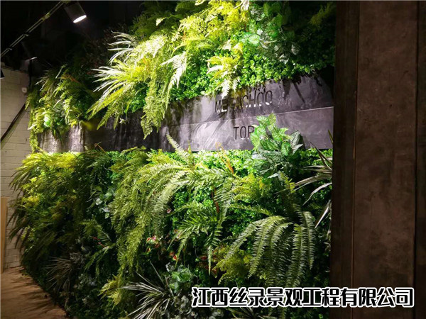 植物墙