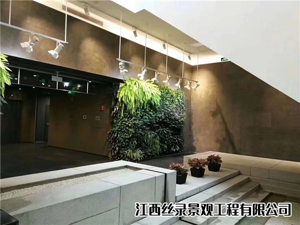 植物墙