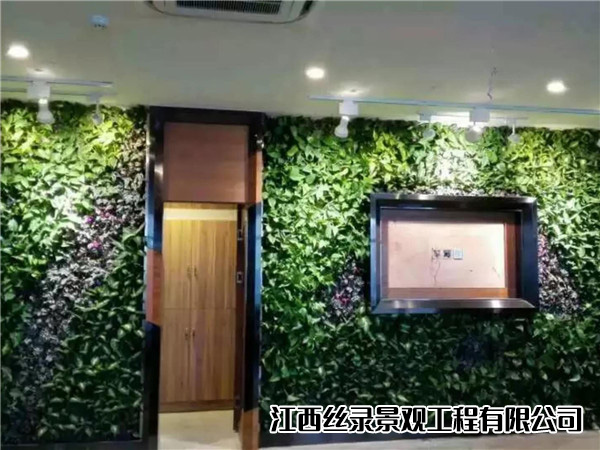 植物墙