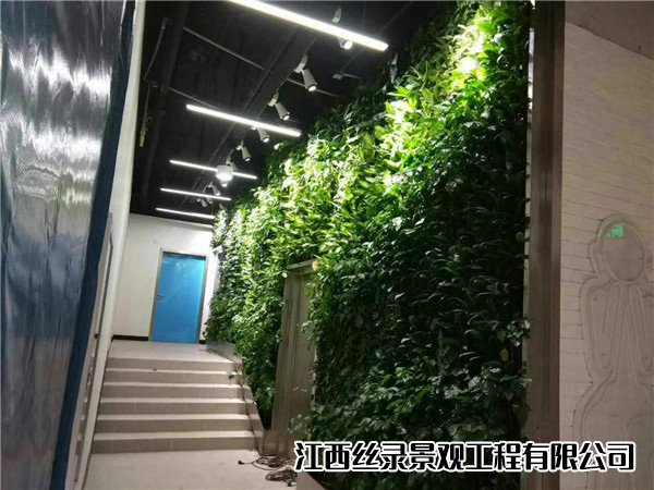 植物墙