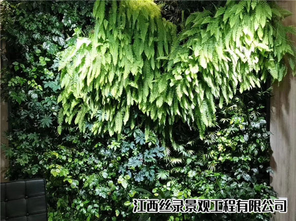 植物墙