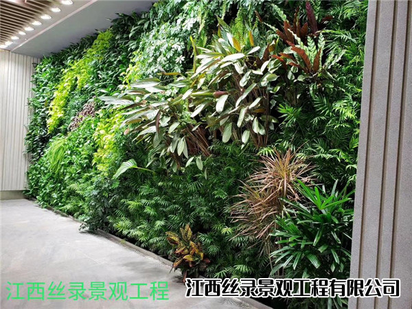 植物墙