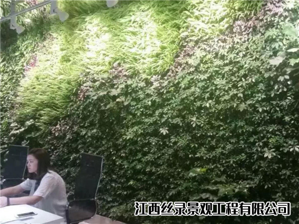 欧尚装饰前台植物墙