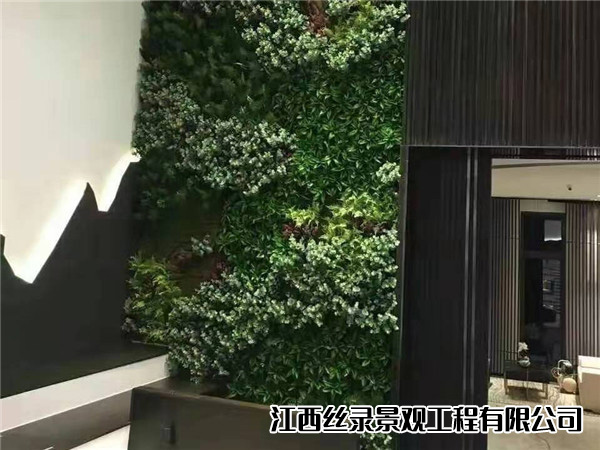 植物墙