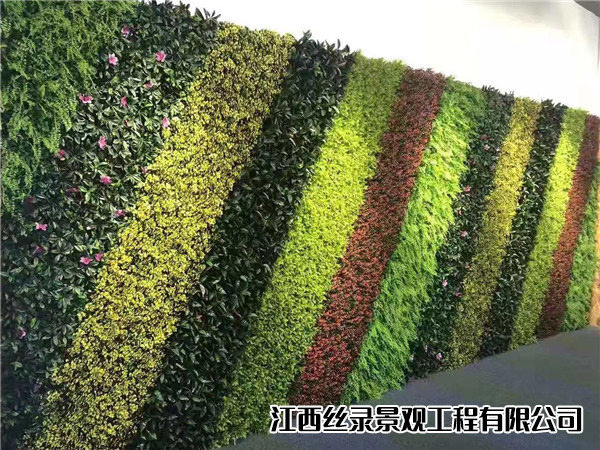 植物墙