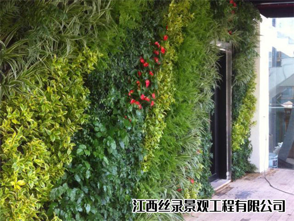 植物墙