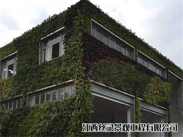 深圳市政植物墙